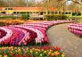 Великден в Истанбул, Турция - Фестивал на лалетата с автобус от Русе и Велико Търново - 3 нощувки