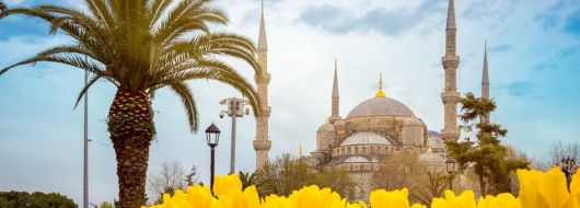 Фестивал на лалетата в Истанбул, Турция с автобус от София - 3 нощувки