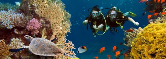 Почивка в Кайро и Шарм ел Шейх, Египет със самолет от София - кацане в Кайро и връщане от Шарм ел Шейх