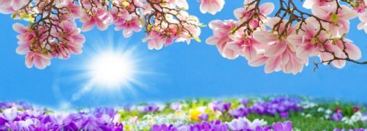 Майски празници в Кушадасъ, 5 нощувки, с автобус от София