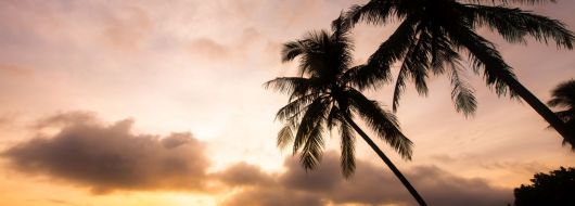 Почивка в Дидим, Турция с автобус от София- 12 нощувки