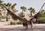CASA COOK EL GOUNA ADULTS ONLY
