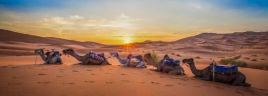 Средиземноморски Шепот - От Малага до Маракеш с полет от София 02.04