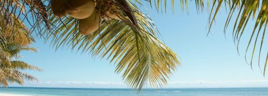 ЕКЗОТИЧНА ПОЧИВКА В МАДАГАСКАР - ОСТРОВ НУСИ БЕ - 21.03.2026