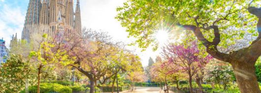 Бордо и Страната на Баските– пътешествие между Франция и Испания