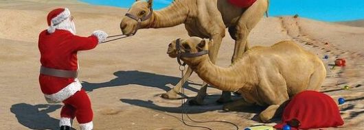 Коледа - Чартър до Шарм Ел Шейх от София 2026