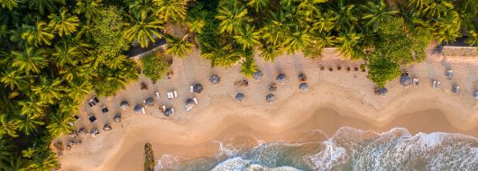 АПРИЛСКА ВАКАНЦИЯ 2026 В ШРИ ЛАНКА / ПОЧИВКА - 8 НОЩУВКИ, 9 ДНИ / ДАТИ: 03.04.2026 - 11.04.2026