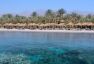 JAZ SHARM DREAMS RESORT
