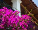 Marialice Apartments