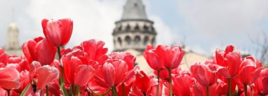 ФЕСТИВАЛ НА ЛАЛЕТО В ИСТАНБУЛ 2026 с 3 нощувки