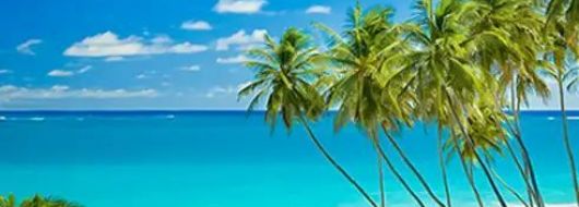 Самолетна почивка в Република Доминикана, Пунта Кана с полет от Мадрид 9 дни 7 нощувки на All Inclusive от АБВ Травелс